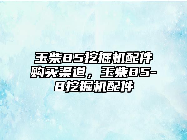 玉柴85挖掘機(jī)配件購買渠道，玉柴85-8挖掘機(jī)配件