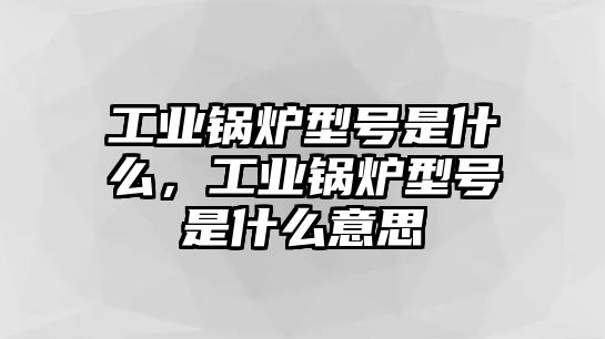 工業(yè)鍋爐型號(hào)是什么，工業(yè)鍋爐型號(hào)是什么意思