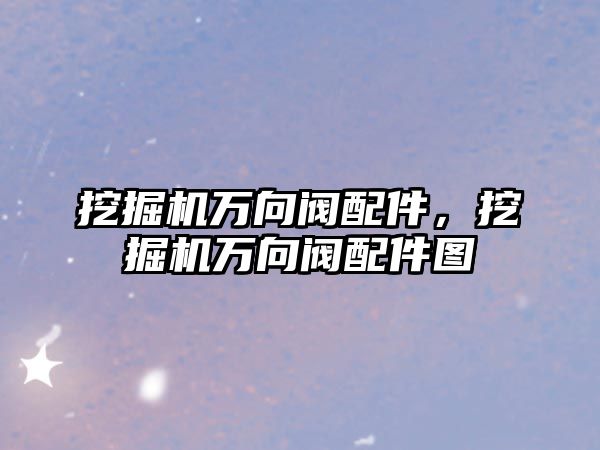 挖掘機萬向閥配件，挖掘機萬向閥配件圖