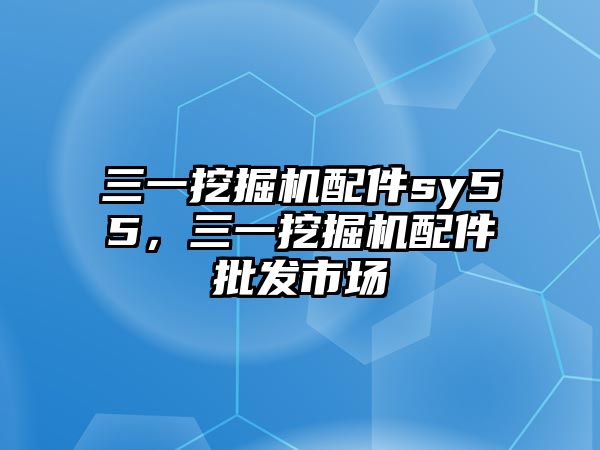 三一挖掘機(jī)配件sy55，三一挖掘機(jī)配件批發(fā)市場