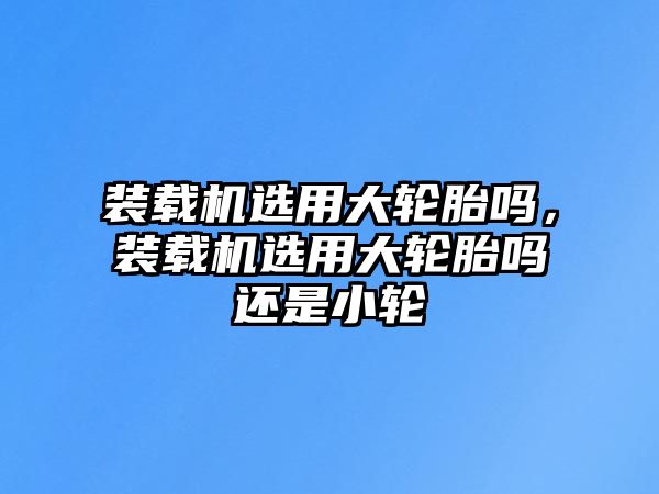 裝載機選用大輪胎嗎，裝載機選用大輪胎嗎還是小輪