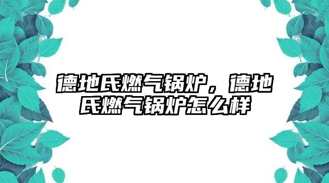 德地氏燃氣鍋爐，德地氏燃氣鍋爐怎么樣