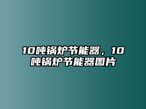 10噸鍋爐節(jié)能器，10噸鍋爐節(jié)能器圖片