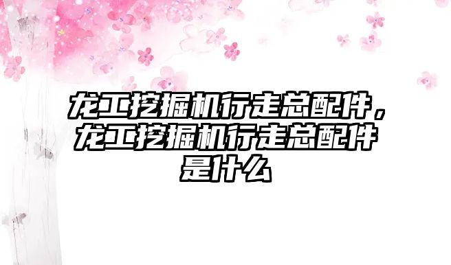 龍工挖掘機(jī)行走總配件，龍工挖掘機(jī)行走總配件是什么