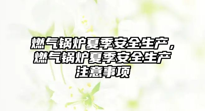 燃?xì)忮仩t夏季安全生產(chǎn)，燃?xì)忮仩t夏季安全生產(chǎn)注意事項(xiàng)