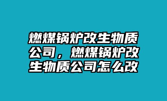 燃煤鍋爐改生物質(zhì)公司，燃煤鍋爐改生物質(zhì)公司怎么改