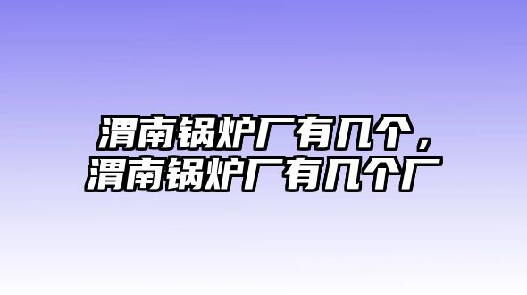 渭南鍋爐廠有幾個(gè)，渭南鍋爐廠有幾個(gè)廠