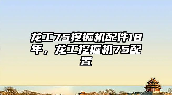 龍工75挖掘機(jī)配件18年，龍工挖掘機(jī)75配置