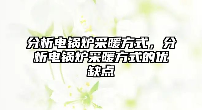 分析電鍋爐采暖方式，分析電鍋爐采暖方式的優(yōu)缺點(diǎn)