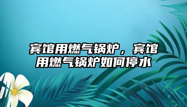 賓館用燃氣鍋爐，賓館用燃氣鍋爐如何停水