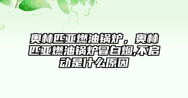 奧林匹亞燃油鍋爐，奧林匹亞燃油鍋爐冒白煙,不啟動(dòng)是什么原因