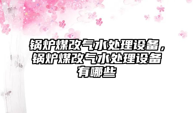 鍋爐煤改氣水處理設(shè)備，鍋爐煤改氣水處理設(shè)備有哪些