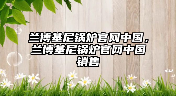 蘭博基尼鍋爐官網(wǎng)中國，蘭博基尼鍋爐官網(wǎng)中國銷售