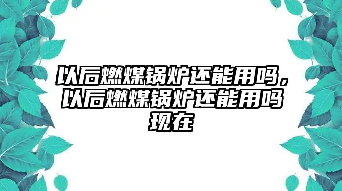 以后燃煤鍋爐還能用嗎，以后燃煤鍋爐還能用嗎現(xiàn)在