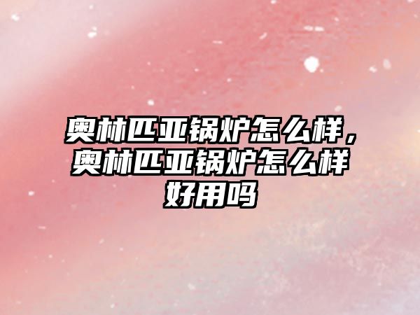 奧林匹亞鍋爐怎么樣，奧林匹亞鍋爐怎么樣好用嗎