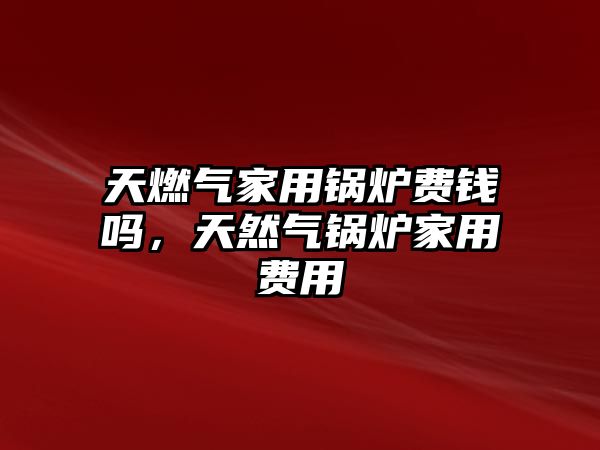 天燃?xì)饧矣缅仩t費(fèi)錢嗎，天然氣鍋爐家用費(fèi)用