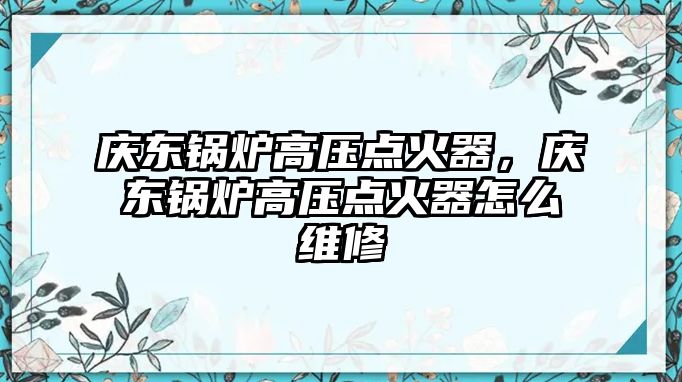 慶東鍋爐高壓點火器，慶東鍋爐高壓點火器怎么維修