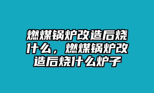 燃煤鍋爐改造后燒什么，燃煤鍋爐改造后燒什么爐子