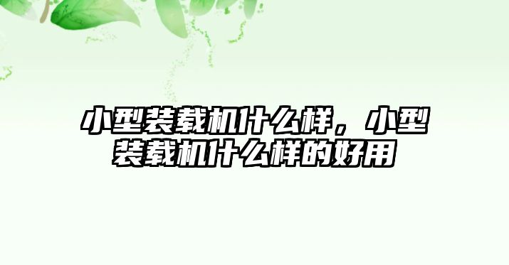 小型裝載機什么樣，小型裝載機什么樣的好用