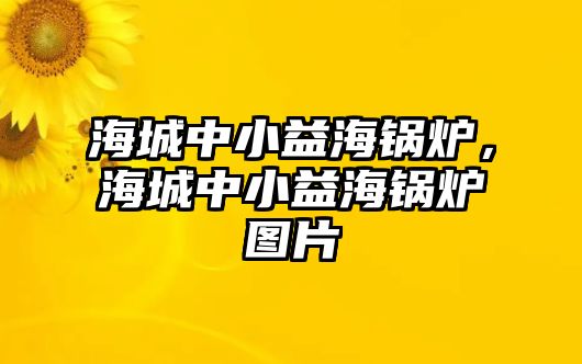 海城中小益海鍋爐，海城中小益海鍋爐圖片