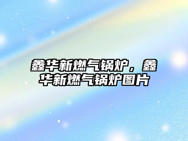 鑫華新燃?xì)忮仩t，鑫華新燃?xì)忮仩t圖片