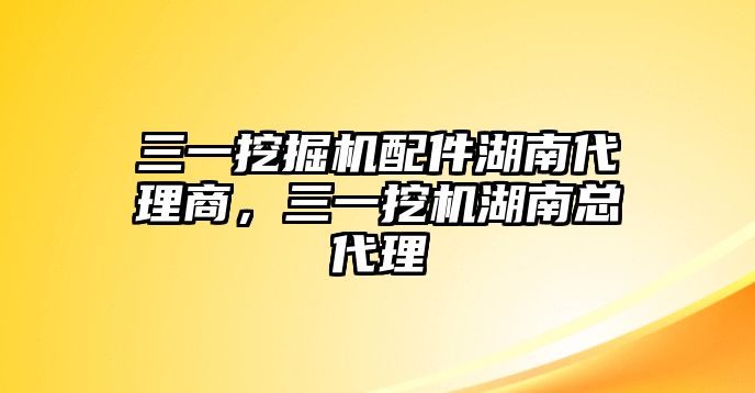 三一挖掘機(jī)配件湖南代理商，三一挖機(jī)湖南總代理