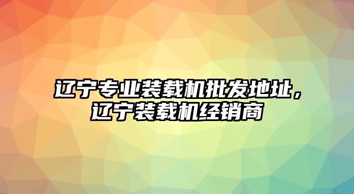 遼寧專(zhuān)業(yè)裝載機(jī)批發(fā)地址，遼寧裝載機(jī)經(jīng)銷(xiāo)商