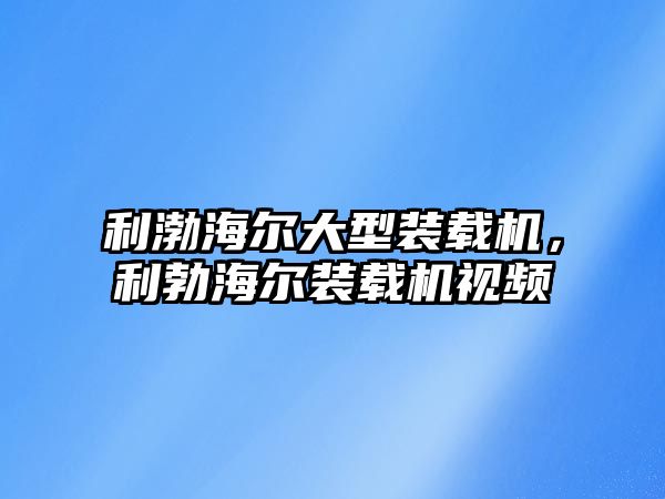 利渤海爾大型裝載機，利勃海爾裝載機視頻