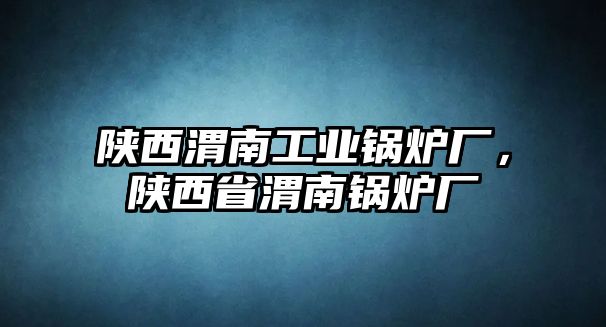 陜西渭南工業(yè)鍋爐廠，陜西省渭南鍋爐廠