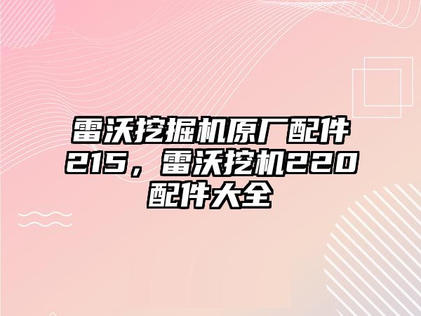 雷沃挖掘機原廠配件215，雷沃挖機220配件大全