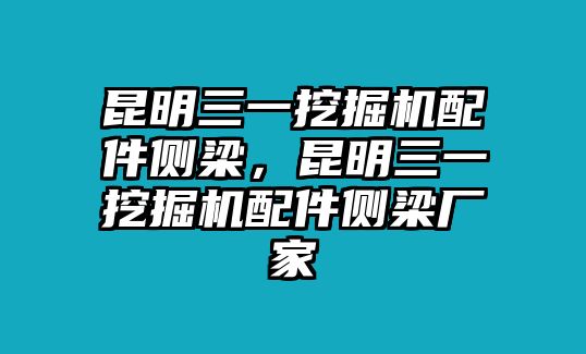 昆明三一挖掘機(jī)配件側(cè)梁，昆明三一挖掘機(jī)配件側(cè)梁廠家