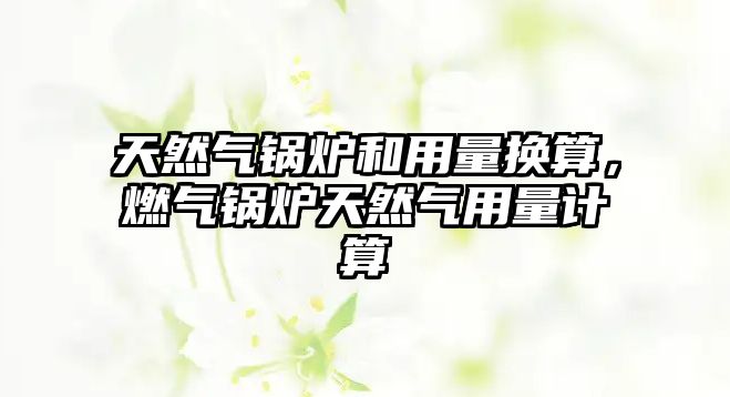 天然氣鍋爐和用量換算，燃?xì)忮仩t天然氣用量計(jì)算