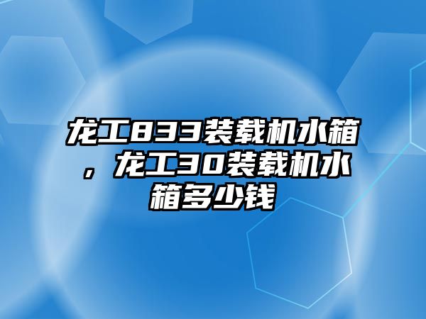 龍工833裝載機(jī)水箱，龍工30裝載機(jī)水箱多少錢