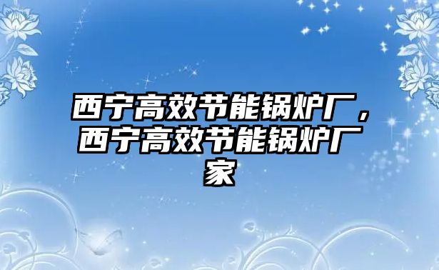 西寧高效節(jié)能鍋爐廠，西寧高效節(jié)能鍋爐廠家