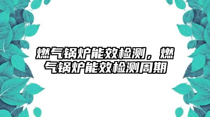 燃?xì)忮仩t能效檢測(cè)，燃?xì)忮仩t能效檢測(cè)周期