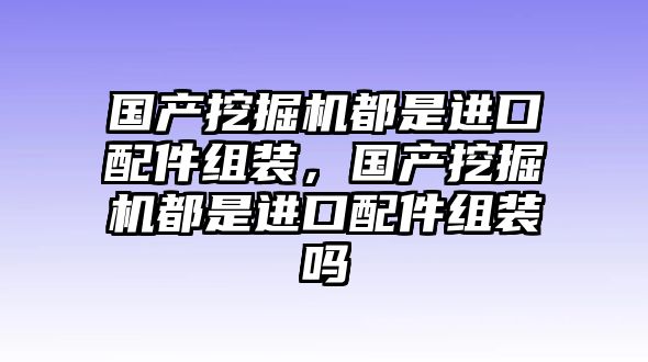 國產挖掘機都是進口配件組裝，國產挖掘機都是進口配件組裝嗎