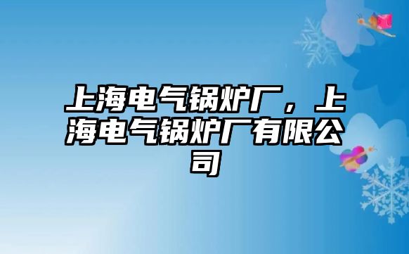 上海電氣鍋爐廠，上海電氣鍋爐廠有限公司