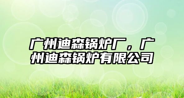 廣州迪森鍋爐廠，廣州迪森鍋爐有限公司