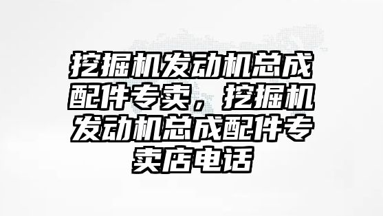 挖掘機(jī)發(fā)動(dòng)機(jī)總成配件專賣，挖掘機(jī)發(fā)動(dòng)機(jī)總成配件專賣店電話