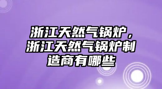 浙江天然氣鍋爐，浙江天然氣鍋爐制造商有哪些