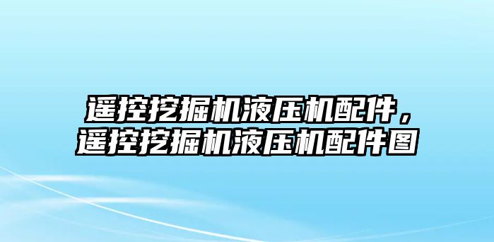 遙控挖掘機(jī)液壓機(jī)配件，遙控挖掘機(jī)液壓機(jī)配件圖