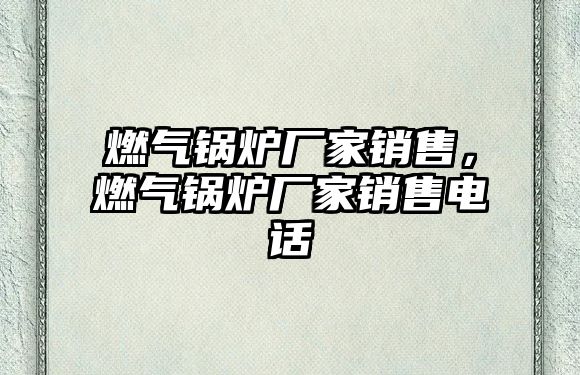 燃?xì)忮仩t廠家銷售，燃?xì)忮仩t廠家銷售電話