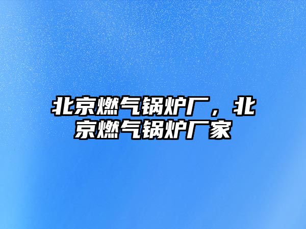 北京燃?xì)忮仩t廠，北京燃?xì)忮仩t廠家