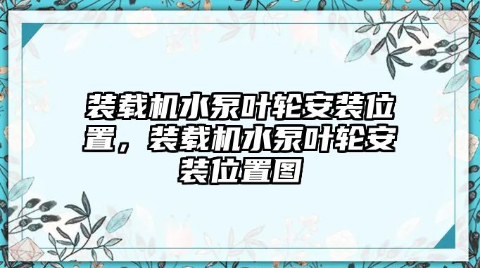 裝載機(jī)水泵葉輪安裝位置，裝載機(jī)水泵葉輪安裝位置圖