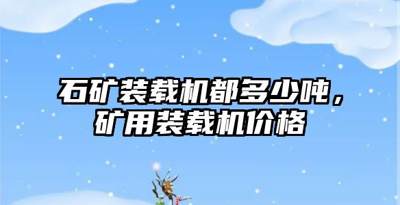 石礦裝載機都多少噸，礦用裝載機價格