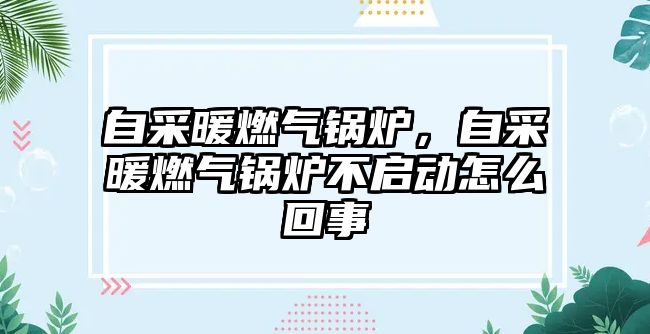 自采暖燃?xì)忮仩t，自采暖燃?xì)忮仩t不啟動怎么回事