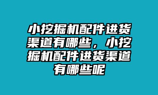 小挖掘機(jī)配件進(jìn)貨渠道有哪些，小挖掘機(jī)配件進(jìn)貨渠道有哪些呢