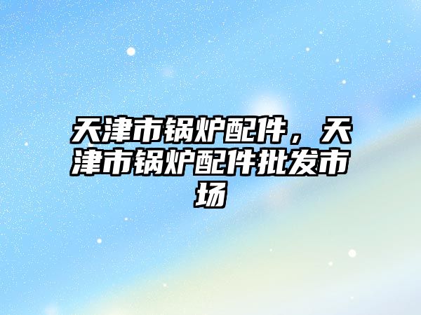 天津市鍋爐配件，天津市鍋爐配件批發(fā)市場