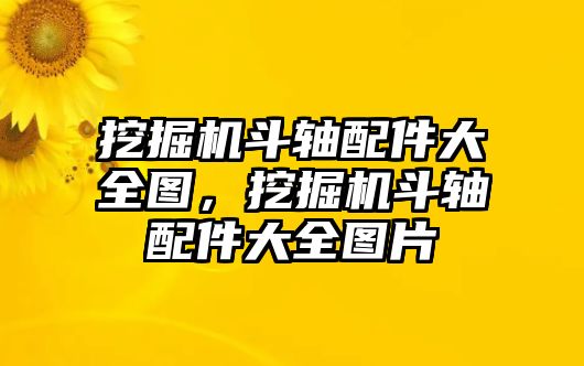 挖掘機(jī)斗軸配件大全圖，挖掘機(jī)斗軸配件大全圖片