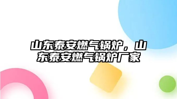 山東泰安燃氣鍋爐，山東泰安燃氣鍋爐廠家